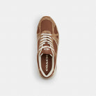 Men's Coach Sport Sneaker In Signature Canvas Sable Multi
