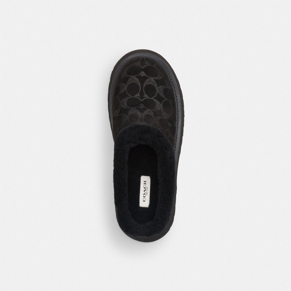 Women's Coach Cecelia Clog In Signature Suede Black