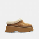 Women's Coach Cecelia Clog In Signature Suede Tobacco