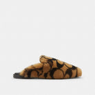 Women's Coach Slipper In Signature Shearling Coconut