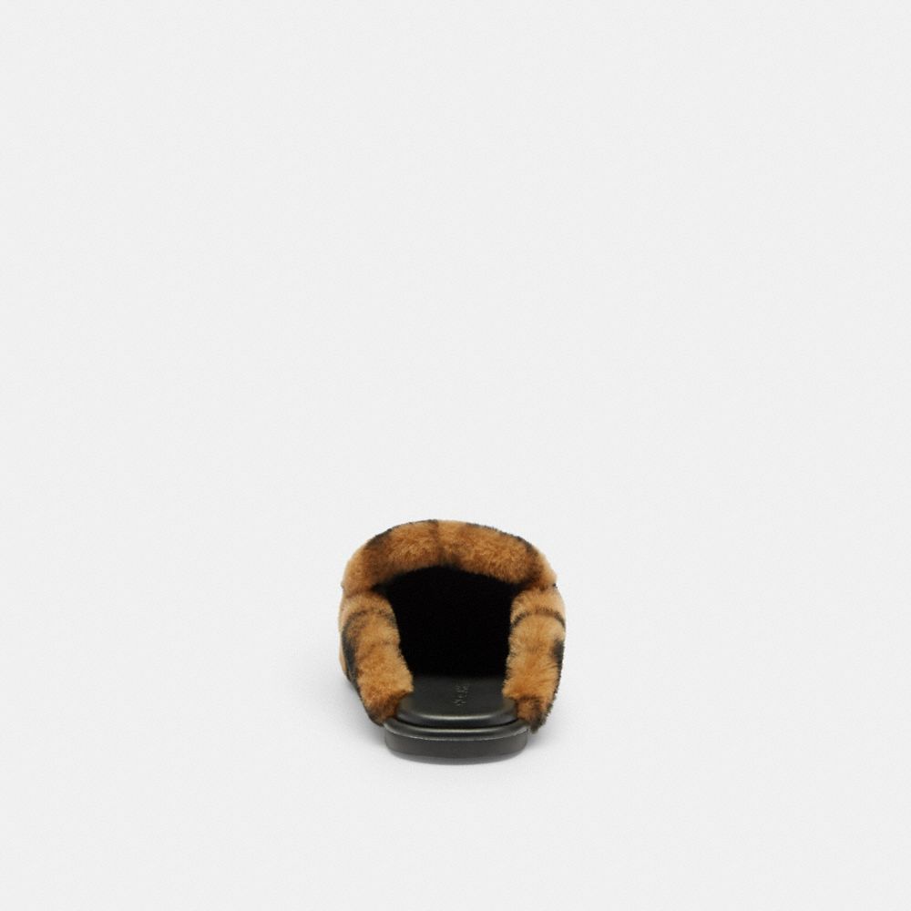 Women's Coach Slipper In Signature Shearling Coconut