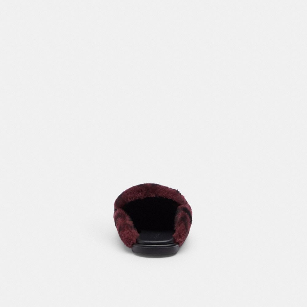 Women's Coach Slipper In Signature Shearling Merlot