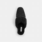 Women's Coach Sherpa Flat Mule In Signature Suede Black