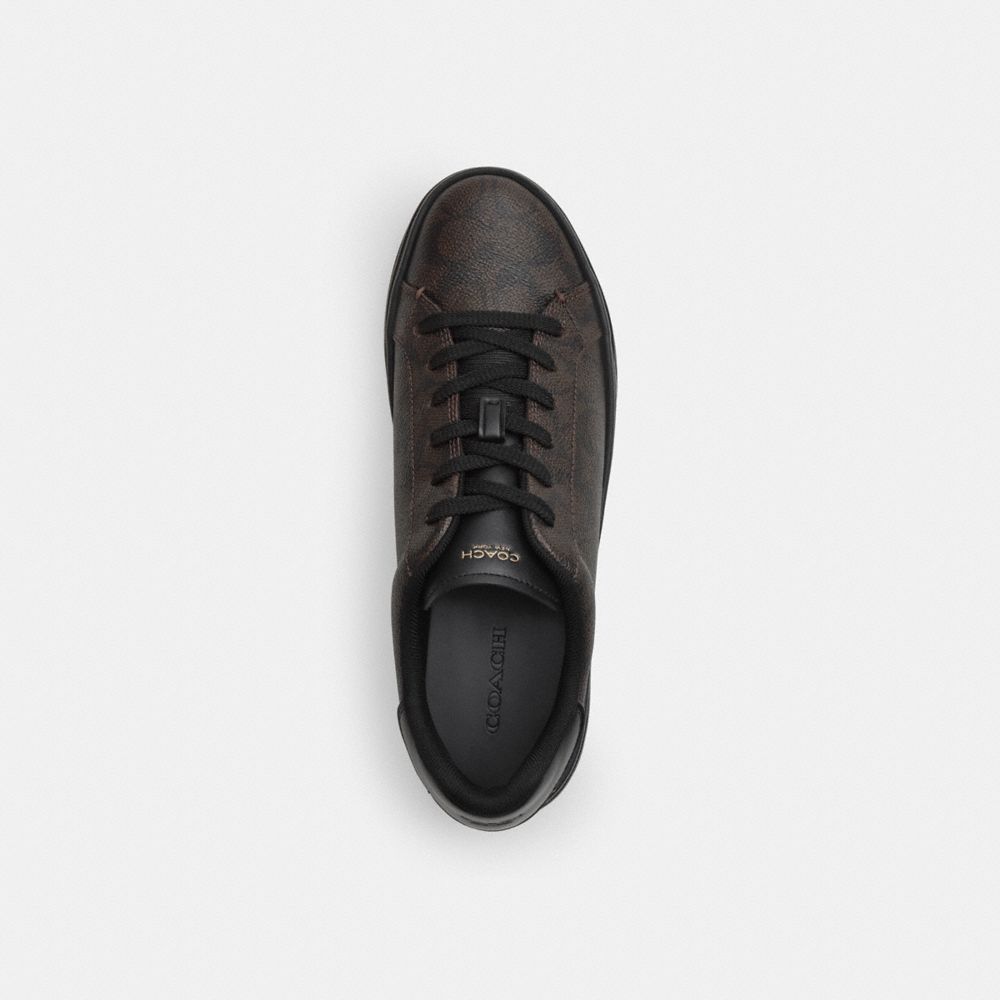 Women's Coach High Line Sneaker In Signature Canvas Walnut & Black