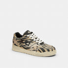 Men's Coach Soho Sneaker With Stars Tiger Multi