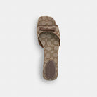 Women's Coach Bow Kitten Heel Sandal In Signature Jacquard Oak Maple