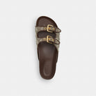Women's Coach Two Band Buckle Sandal In Signature Jacquard Oak Maple