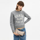 Coach Caitlin Shoulder Bag In Signature Canvas Silver Sand Taupe