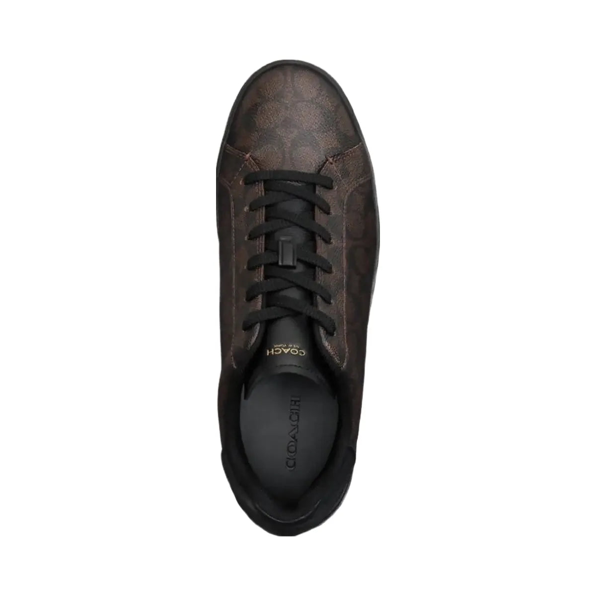 Coach Men's High Line Sneaker In Signature Canvas Walnut & Black