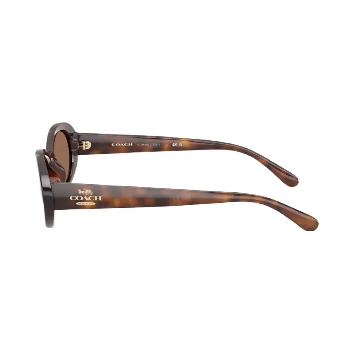 Coach Narrow Oval Sunglasses in Dark Tortoise