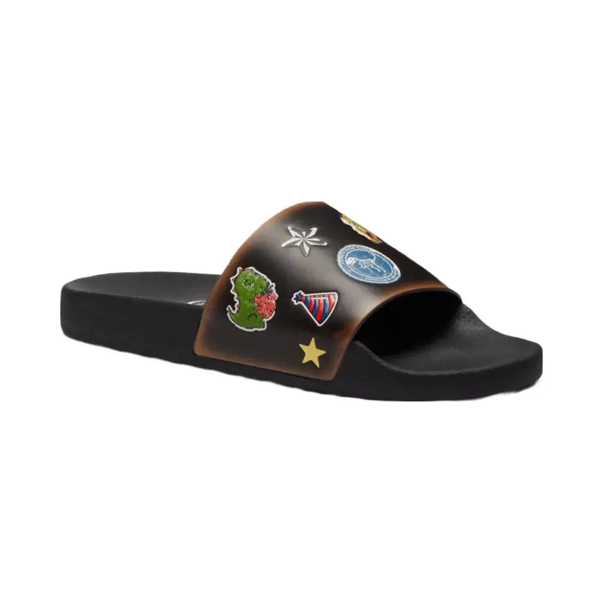 Coach Rexy 10th Birthday Pool Slide in Black