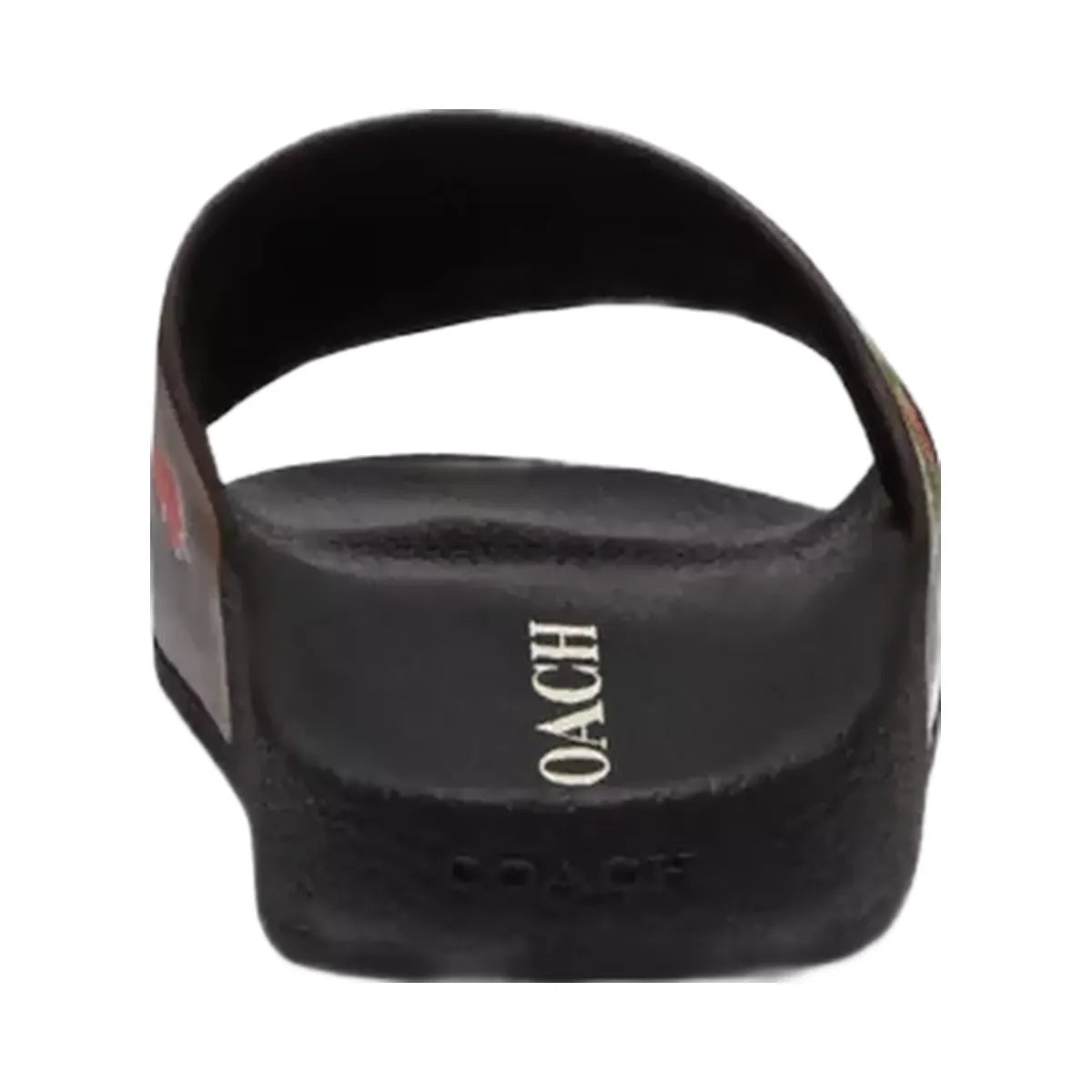Coach Rexy 10th Birthday Pool Slide With Sticker Print in Black