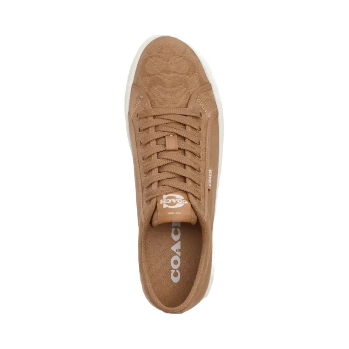 Coach Women's Canvas Sneaker Taupe