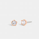 Coach Halo Tea Rose Stud Earrings Rose Gold
