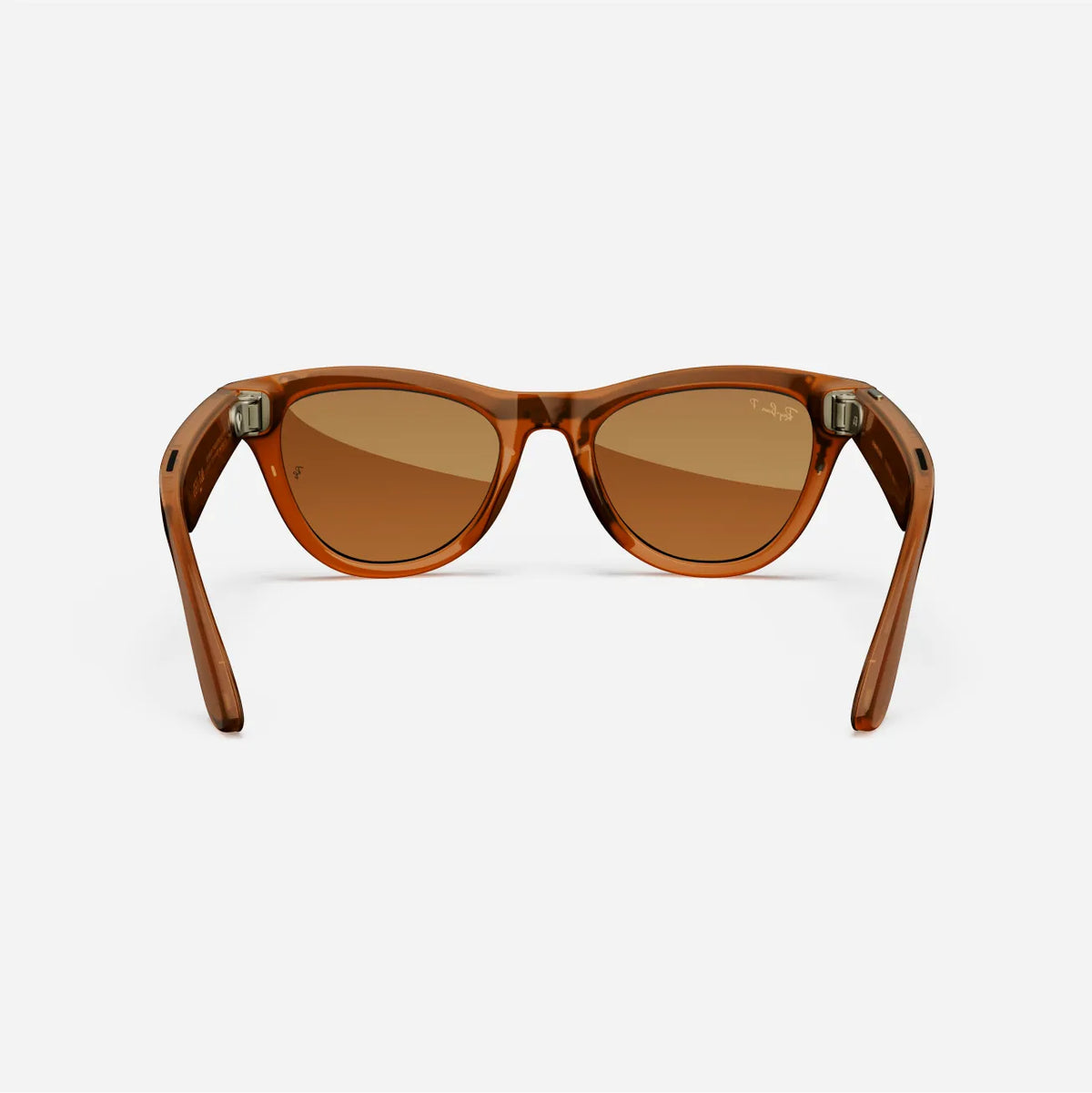 Brown acetate streetwear sunglasses with brown tinted lenses, shown on white background