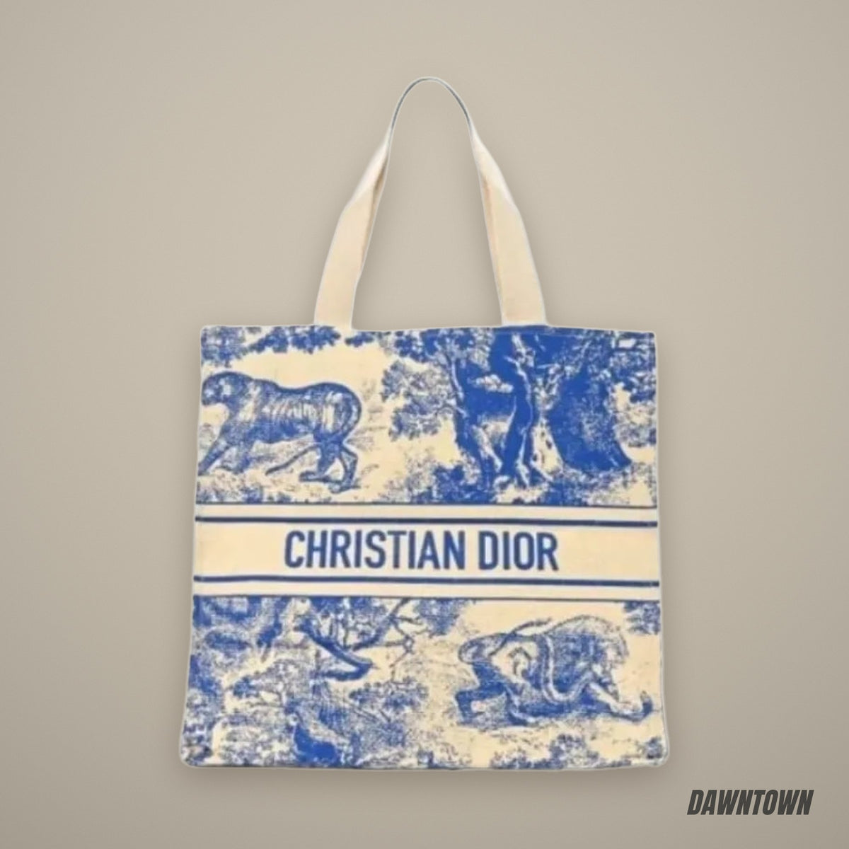 Christian Dior Dioriviera Book Tote Blue (GWP)