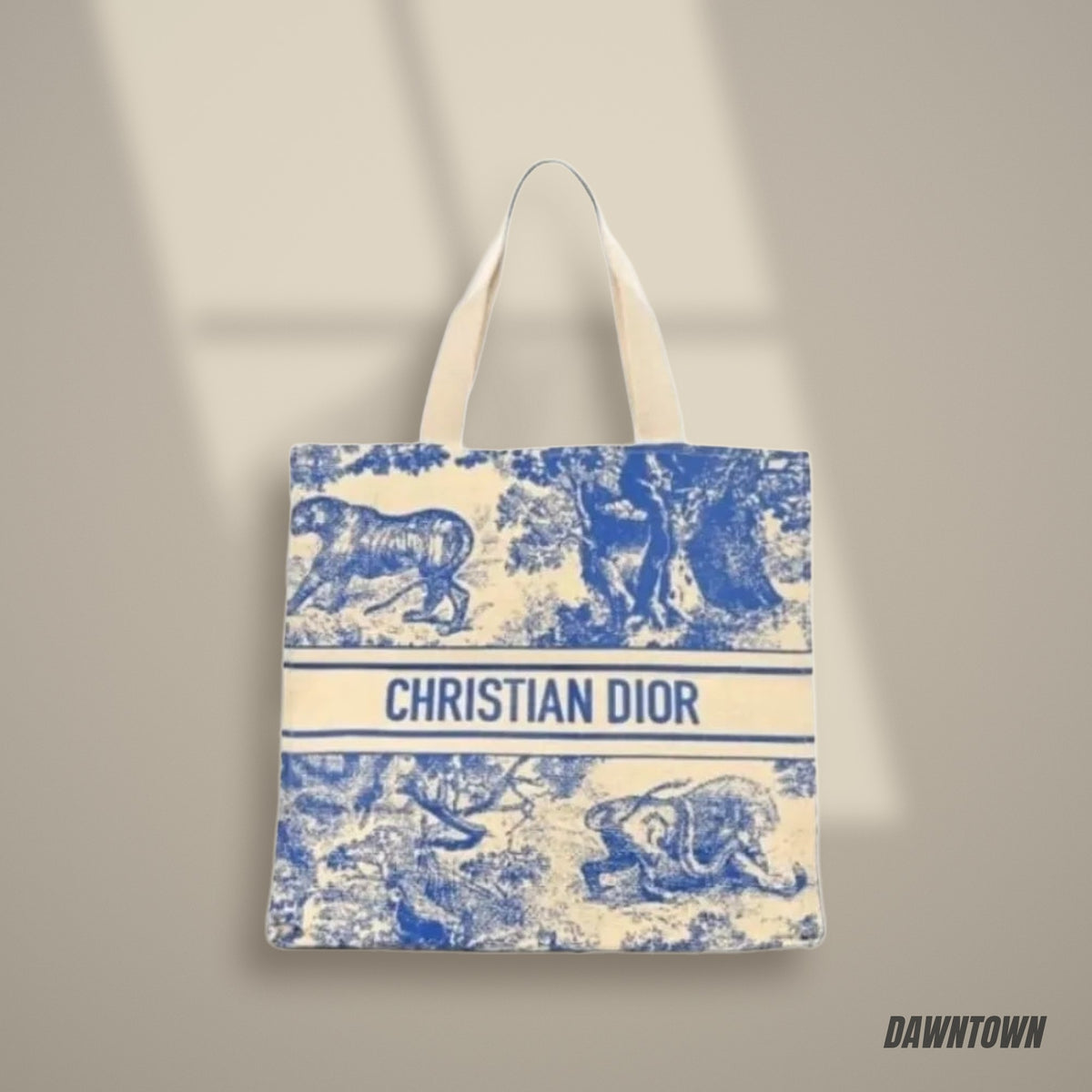 Lifestyle — Christian Dior Dioriviera Book Tote Blue (GWP)