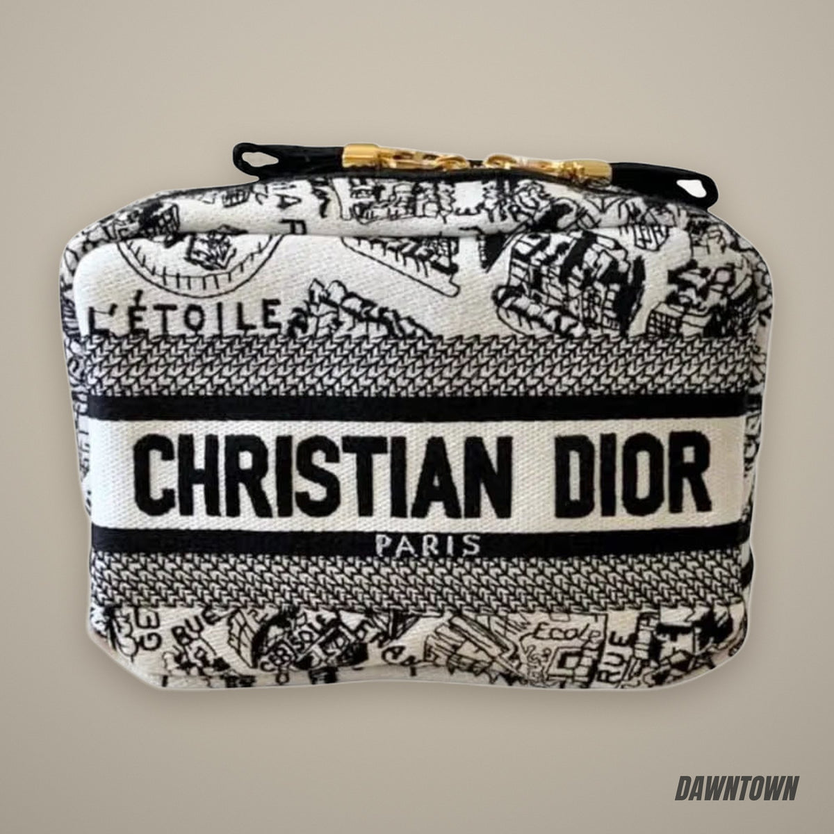 Christian Dior Plan De Paris Embroidered Pouch