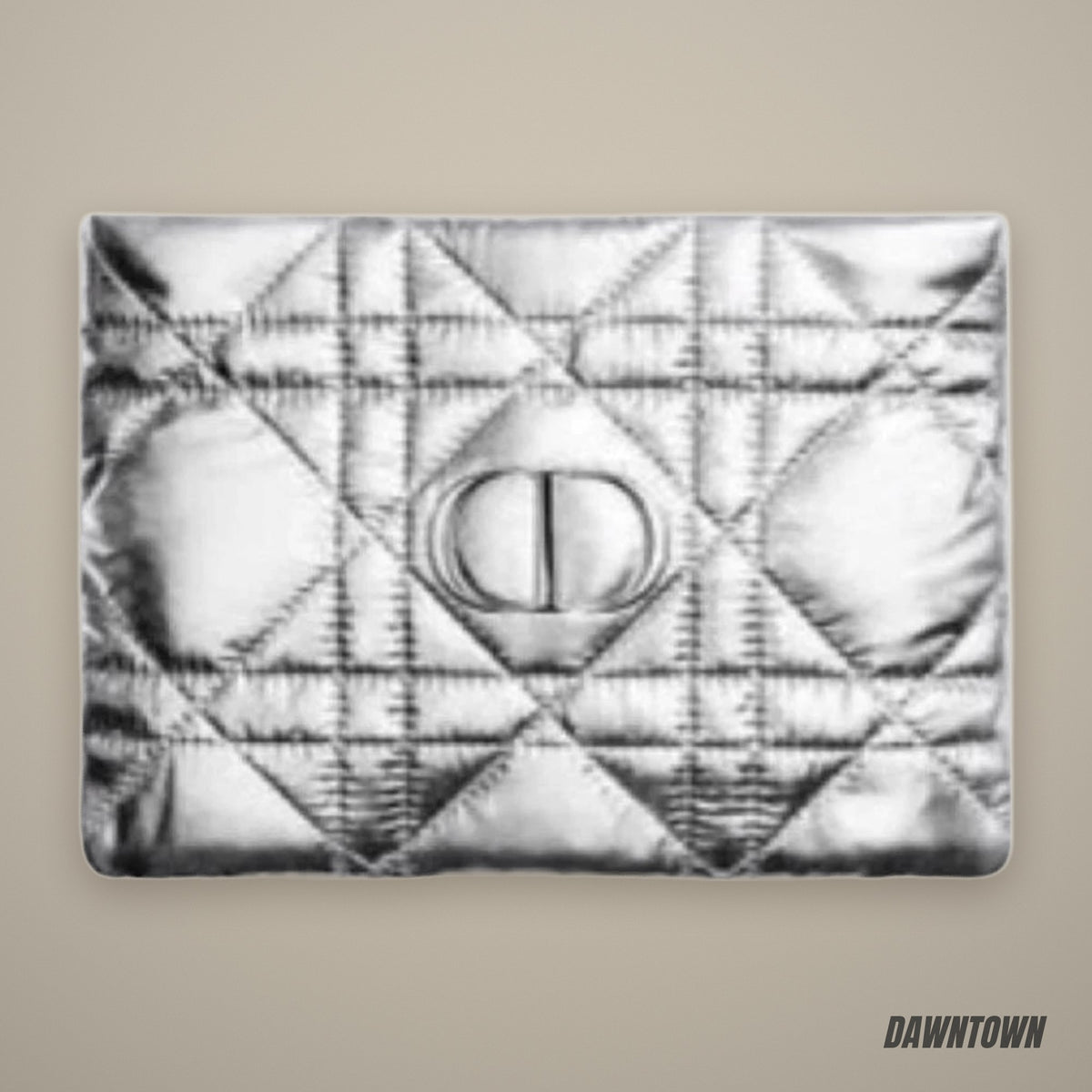 Dior Novelty Silver Pouch Cannage Japan New 2026