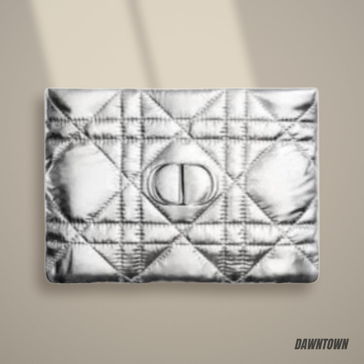 Lifestyle — Dior Novelty Silver Pouch Cannage Japan New 2026