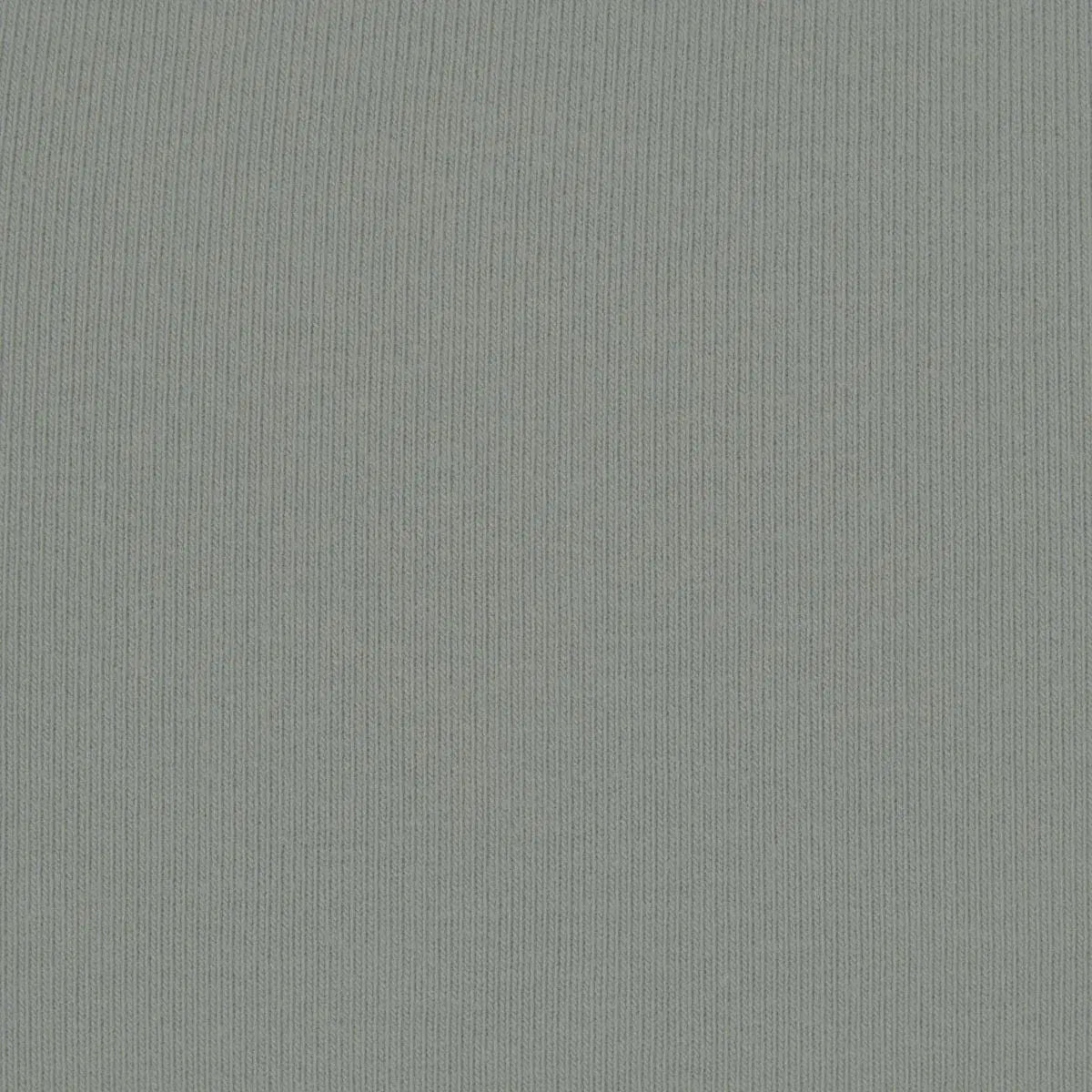 Skims Cotton Jersey Long Sleeve T-Shirt Mineral