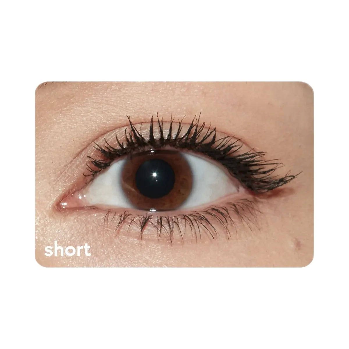 Kylie Kylash Volume Mascara Duo