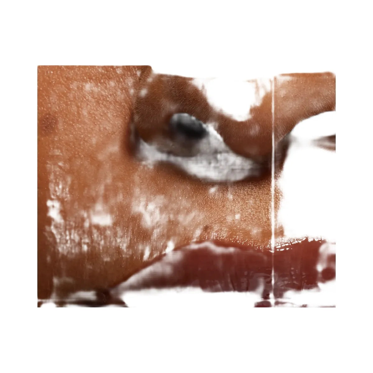Kylie Lip Oil Chocolate Cookie