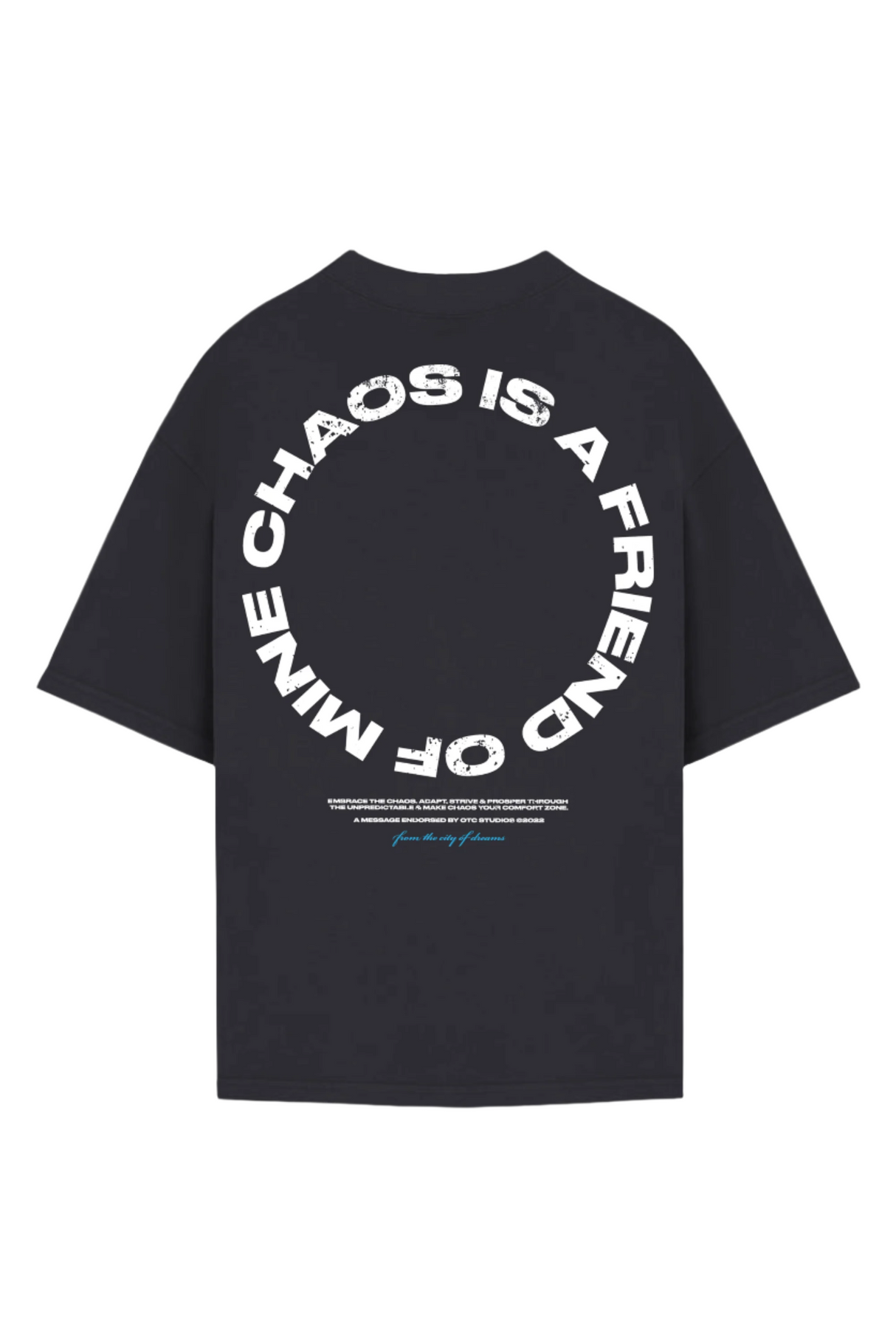 CHAOS IS A FRIEND T-SHIRT - GREY