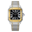 Seiko Mod Santos Two-Tone Black