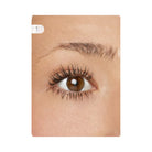 Tarte Maneater Brow Mousse